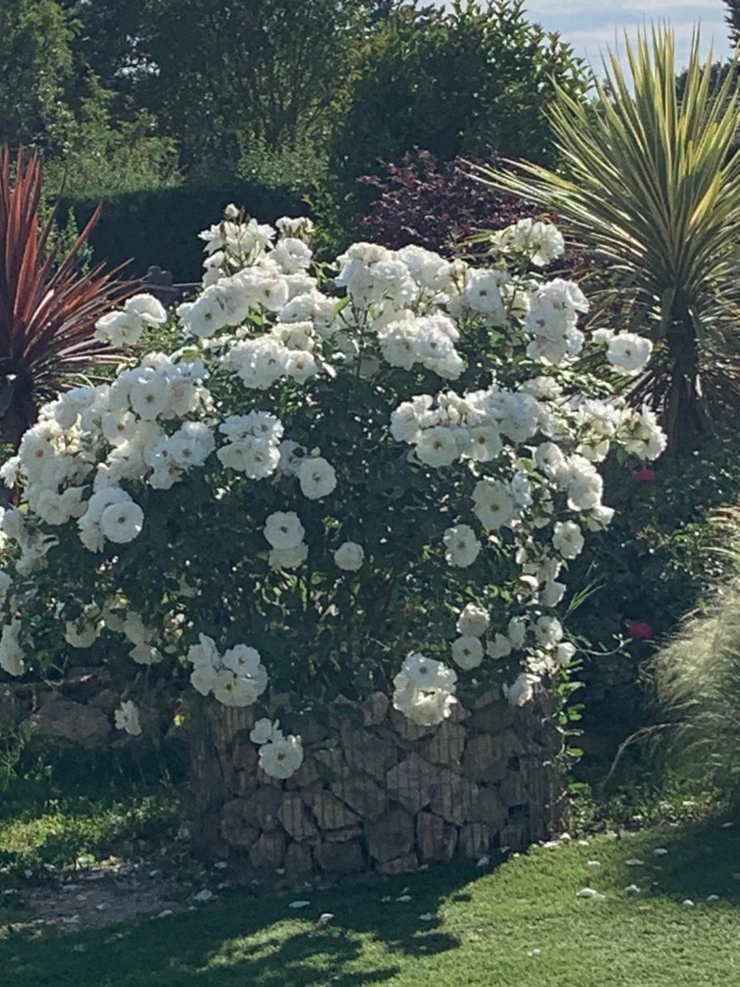 Bed and Breakfast Brossard Cavaillon Exterior foto